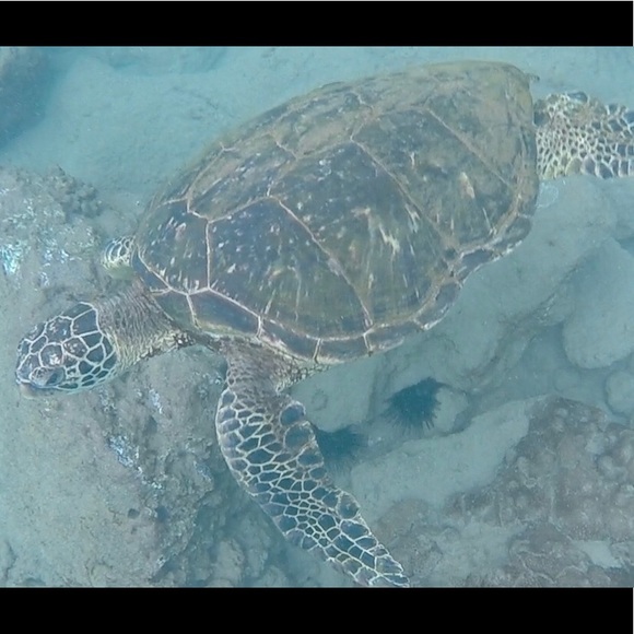 Meet your Posher, Karen - Picture 2 of 3